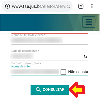 Consulta dados eleitorais no site do TSE
