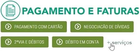 Serviço Pagamentos e Faturas no site da CELPE