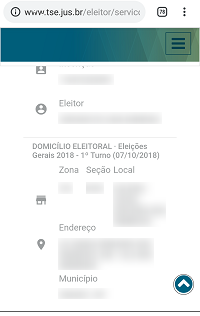 Resultado da consulta no site do TSE