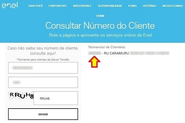 Enel CE – Resposta da consulta do número de cliente