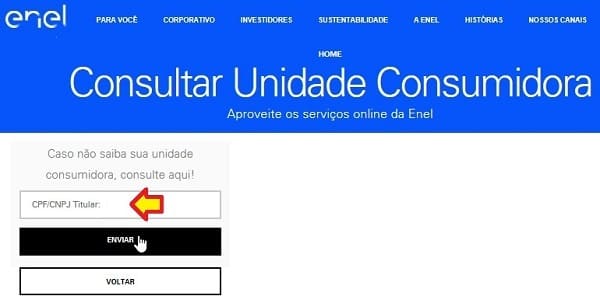 Enel GO – Consultar Unidade Consumidora