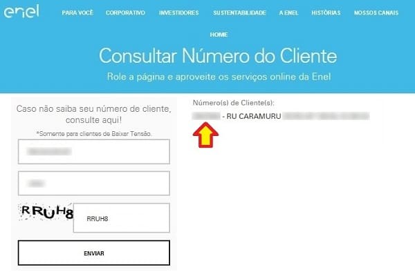 Enel Rio – Resposta da consulta do número de cliente